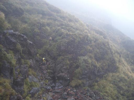 {short description of image}